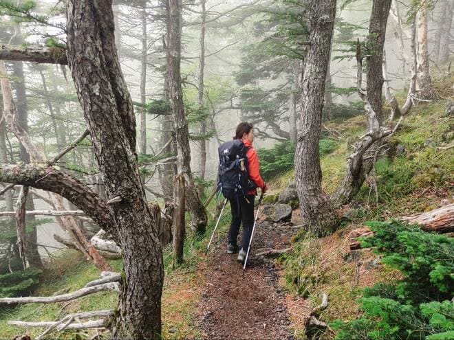 中腹でも「富士山」を存分に楽しめる登山プランはいかが？  マイカーOKの御殿場口から「宝永山」 圧巻の火口巡り＆下山は名物「大砂走り」！の画像006