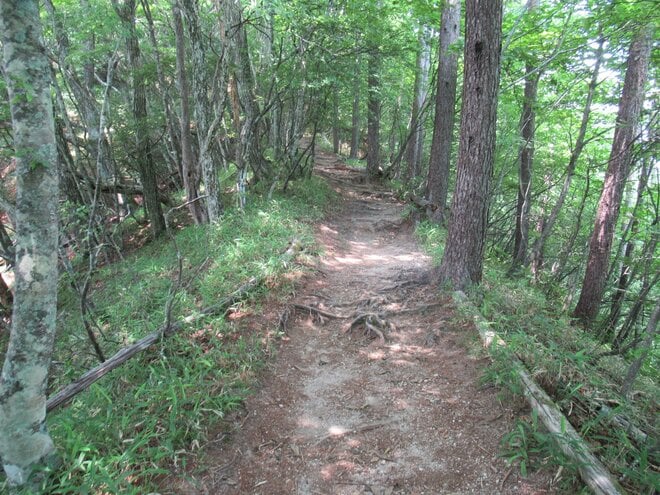 南アルプスの山の上で常夏気分！？  真っ白な砂浜が広がる「日向山」はまるで“天空のビーチ”【山梨県北杜市】の画像005