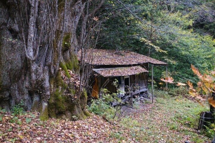 【日本最古の泊まれる山小屋】北アルプス・岩魚留小屋の再生を目指すクラファンが始動 