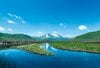 “まるっと楽しむ 尾瀬の山歩き” vol.2【群馬県 片品村】入山者数は最多！ 尾瀬の玄関口「鳩待峠」 憧れの木道歩き「尾瀬ヶ原」や高山植物の宝庫「至仏山」へアクセス良好！