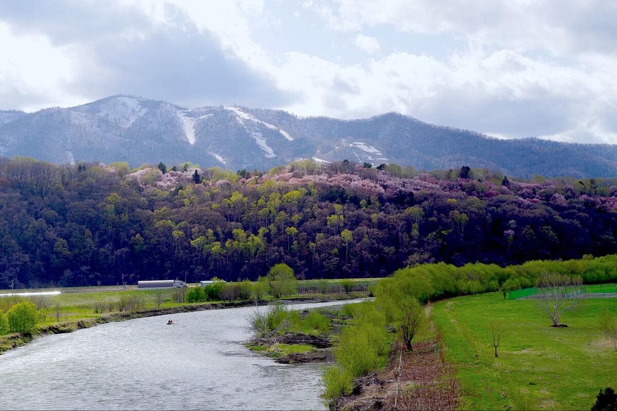 驚異の絶景 桜と雪山 スキー ラフティング Mtb 北海道 富良野のゴールデンウィークは 全部ある 概要 トラベル ニュース Bravo Mountain
