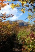 百名山「越後駒ヶ岳」の紅葉はどこが見頃？  10月中旬の枝折峠ルートを歩くの画像005