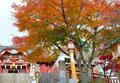 “秋山”最強コンボ【紅葉と渓谷トレッキング・最終回】都心からのアクセス抜群！ "おいぬ様"が守り神「御岳山」＆東京の秘境「ロックガーデン」の画像001
