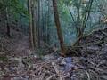 『鬼平犯科帳』のエンディングが頭の中で流れ続ける！ 「摩気橋・摩氣神社」から「胎金寺山」へ「聖地巡礼ハイキング」現地レポート【京都府南丹市】の画像017