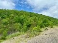 国民的「避暑＆別荘」地でハイキング！  中軽井沢「小浅間山」 下山あとはグルメ・カフェで “ご当地” 堪能！ 「涼しい高原リゾートの1日」満喫レポ【長野県軽井沢町】の画像004
