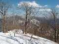 「がんの疑い」発覚から再び山に登るまで。手術から半年「釜の越桜」と「北岳」から得たヒントとは【体験談】の画像002