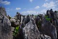 【沖縄で低山トラベル】観光旅行にプラスしたい “森の山を巡る” 絶景すぎる低山ハイク・本部半島2選【今日も山旅気分 vol.30】の画像007