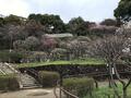 梅の見ごろ「吉野の桜・和歌山のミカン・丹波の栗」に並ぶ「江戸以来」の“間違いない”名所！　駅10分「岡本梅林公園」＆「保久良梅林」散策レポ【兵庫県神戸市】の画像001