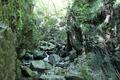 バラエティ豊かな登山コース「棒ノ折山」夏こそ行きたい “涼感” の魅力！ 「木漏れ日の樹林帯・Vの字谷・沢沿い歩き」＆絶景の「山頂広場」レポの画像006
