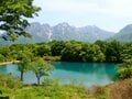 【親子旅】新潟と長野をつなぐ「塩の道」美しいブナ林で時の流れを感じたの画像003