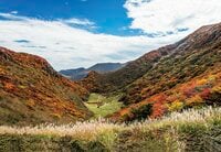 秘境！ 絶景！ ここだけは行きたい！【紅葉の山歩き ベスト3】西日本編「高島トレイル・石鎚山・九重連山」