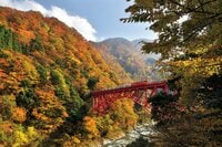 カメラを持って『黒部峡谷トロッコ電車』へ出かけよう！ 「日本有数の大峡谷」を列車でめぐり大迫力の秋景色を体感【特集・紅葉フォトトレッキングガイド 2024】