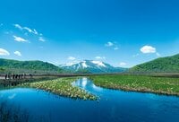 “まるっと楽しむ 尾瀬の山歩き” vol.2【群馬県 片品村】入山者数は最多！ 尾瀬の玄関口「鳩待峠」 憧れの木道歩き「尾瀬ヶ原」や高山植物の宝庫「至仏山」へアクセス良好！