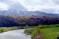 驚異の絶景「桜と雪山」スキー、ラフティング、MTB！  北海道・富良野のゴールデンウィークは「全部ある！」