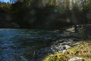 効果絶大！  驚異的な“当たり”フライに救われた真冬の渓流釣り 「秩父フライフィールド」 埼玉県秩父市