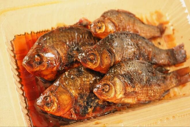 冬は “謎解きゲーム感覚” の「寒ブナ釣り」が面白い！  小水路の突き当りで発見「越冬ポイント」での結果は！？  4時間「釣行レポ」【茨城県・牛久沼】の画像013