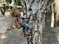 天下人・三好長慶の居城「飯盛城跡」で「絶景のハシゴ」を楽しめる＜歴史巡り里山ハイキング＞とは？【里山アドベンチャー！ソトアソ日和 vol.9】の画像015