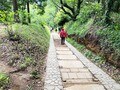 都内から日帰りで楽しめる！  関東近郊「低山ハイキングと温泉」冬のゴールデンコンボ「おすすめモデルコース」3選の画像005