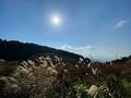 ハズせない「秋の絶景」登山！  黄金に揺れる山頂「ススキ」に「夏のおわり」を想う「大和葛城山」大阪・奈良「登頂レポ」の画像001