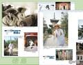 『水曜どうでしょう』で大泉洋も絶賛！ 番組ゆかり「うどん＆お遍路」名所とは！? 「四国在住で大ファン」ライター「新発売コラボ本」ゲットで聖地巡礼の画像020