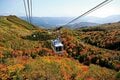 【長野県・つがいけロープウェイ】彩り豊か “紅葉の絨毯” が敷き詰められた天空の楽園「栂池自然園」はシャッターチャンスの宝庫！の画像004