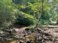 ＜残暑にオススメな“低山の早朝ハイキング”コースPart2＞“涼めるポイント”も豊富な「サクっとモーニングトレイル」私市（きさいち）編【里山アドベンチャー！ソトアソ日和 vol.6】の画像018