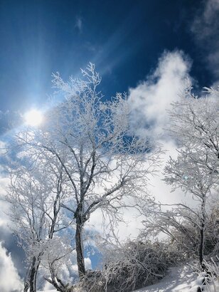 初心者に覚えてほしい！  スノーボードが上達する「板選びとセッティング」の基本ポイント