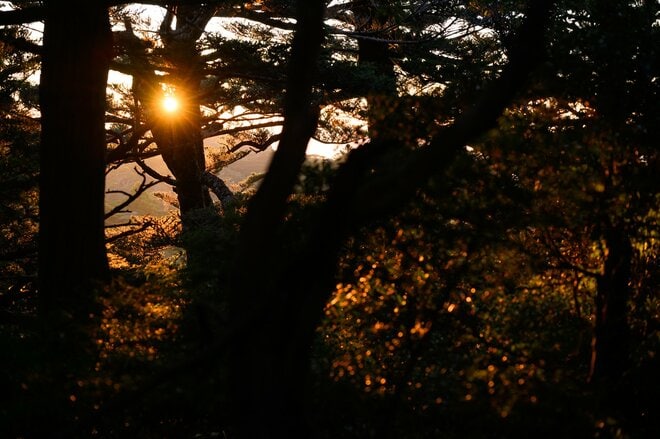 【世界自然遺産・屋久島】九州最高峰の「宮之浦岳」へ！  日本最南端の高層湿原「花之江河」を抜け、洋上のアルプスに臨むの画像004