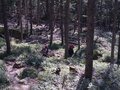 テント泊で「山頂からの朝イチ大展望」OK！  八ヶ岳連峰最南端「編笠山」 1泊登山デビューに最適＆「青年小屋」泊もできる「登山レポ」の画像003