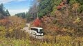 【2024年11月 第1週】今週末の紅葉の見ごろは？ 名所＆人気スポットの最新情報をお届け「WEEKLY紅葉ニュース」の画像008