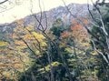 「山に行ってみませんか？」 失恋を癒すため「はじめての登山」をサポートしてみた！  いたれりつくせり「安心プラン」 御在所山ハイキングの結果とは？の画像004