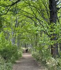 頂上を目指すのだけが登山の楽しみ方じゃない！？  週末気軽な山歩きで自然を味わう「フラット登山」へ行ってみよう！【前編】の画像002