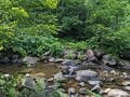 満開に咲き乱れる「ミヤマキンポウゲ」の花畑！  高山植物の宝庫・花の百名山「焼石岳」フラワートレッキングレポの画像010