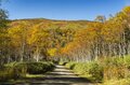 真っ盛りの紅葉を抜け、荒涼とした山頂部へ！  シマリス駆ける北海道、大雪山「赤岳」の美しすぎる絶景・紅葉狩り登山  2024年の画像001
