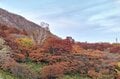 今週末の紅葉見るならどこ？ 名所＆人気スポットから最新情報をお届け「WEEKLY紅葉ニュース」【2023年10月第3週】の画像005