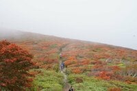 広がる色彩の海！  紅葉の絨毯が広がる東北の名山へ【栗駒山】