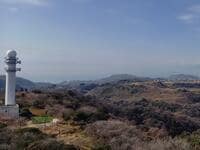 標高241ｍ低山でも花の百名山！ 2月の「大楠山」春先取りの「満開・河津桜」＆「山頂パノラマ」が楽しめるハイキング【神奈川県横須賀市】