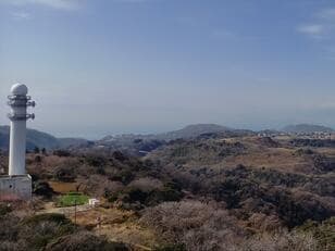 標高241ｍ低山でも花の百名山！ 2月の「大楠山」春先取りの「満開・河津桜」＆「山頂パノラマ」が楽しめるハイキング【神奈川県横須賀市】