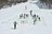 ワールドクラスの草レース！？  次期オリンピック新種目・本格的山岳エリアを含むSKIMO（スキーモ）の大会が群馬県片品村で初開催！ 【第1回 HOTAKA SKIMO SUMMIT CHALLENGE】の画像004