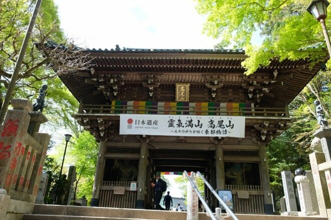 【新緑の高尾山は下山後もおもしろい】初心者向け「高尾山ハイキング」ガイドの画像008