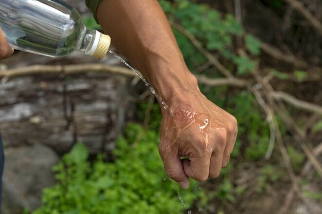 日本の秋はスズメバチの季節！ 「刺されないために・準備と行動が大切」絶滅危惧種のチャイロスズメバチにも要注意・2022年の画像004