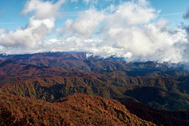 【富士山の次に登る山 vol.4】登山の魅力はムゲン大「山頂部に池塘が広がる山」 苗場山・平ヶ岳・朝日岳・飯豊連峰の画像012