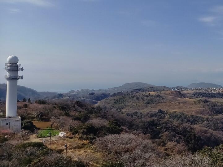 標高241ｍ低山でも花の百名山！ 2月の「大楠山」春先取りの「満開・河津桜」＆「山頂パノラマ」が楽しめるハイキング【神奈川県横須賀市】 