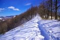 【雪山を歩くってどんな感じ？】山頂まで「片道1時間」で味わえる絶景の雪稜歩き＜南牧村・飯盛山＞【今日も山旅気分 vol.36】の画像003