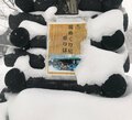雪見風呂も最高！「秋田県・乳頭温泉郷」7軒を回れる「有効期限1年」おトクすぎる「湯めぐり帖」の画像002