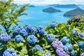 『NYタイムズ』が賞賛！「行くべき旅行先」世界第7位に輝いた桜の絶景名所「香川県・紫雲出山」の魅力を地元出身ライターが解説の画像004