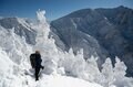 【雪山登山】冬の硫黄岳！ 白い世界とのコントラスト！ 圧巻の八ヶ岳ブルーと迫力のスノーモンスター〈長野県〉の画像004