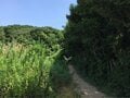 イモとウナギの関係は？  ヤマは漢字でOK？  知ってるようで知らない「山」の使われている「慣用句・ことわざ」3選の画像003