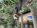 ＜手間暇を惜しまない＞森を整える「循環型工法」での道＆土留め作り【ユーコンカワイのシン・サウナ村建設記 vol.7】の画像004