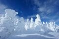 【志賀高原マウンテンリゾート特集・第3回】日本一の標高がもたらす極上雪天国「横手山・渋峠スキー場」 リピーターが唸るサラサラパウダーの宝庫「熊の湯スキー場」の画像001